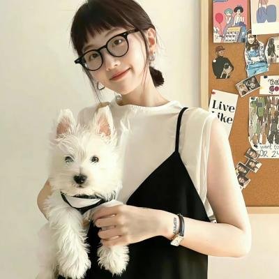少理老豆旅行团